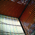 Lines